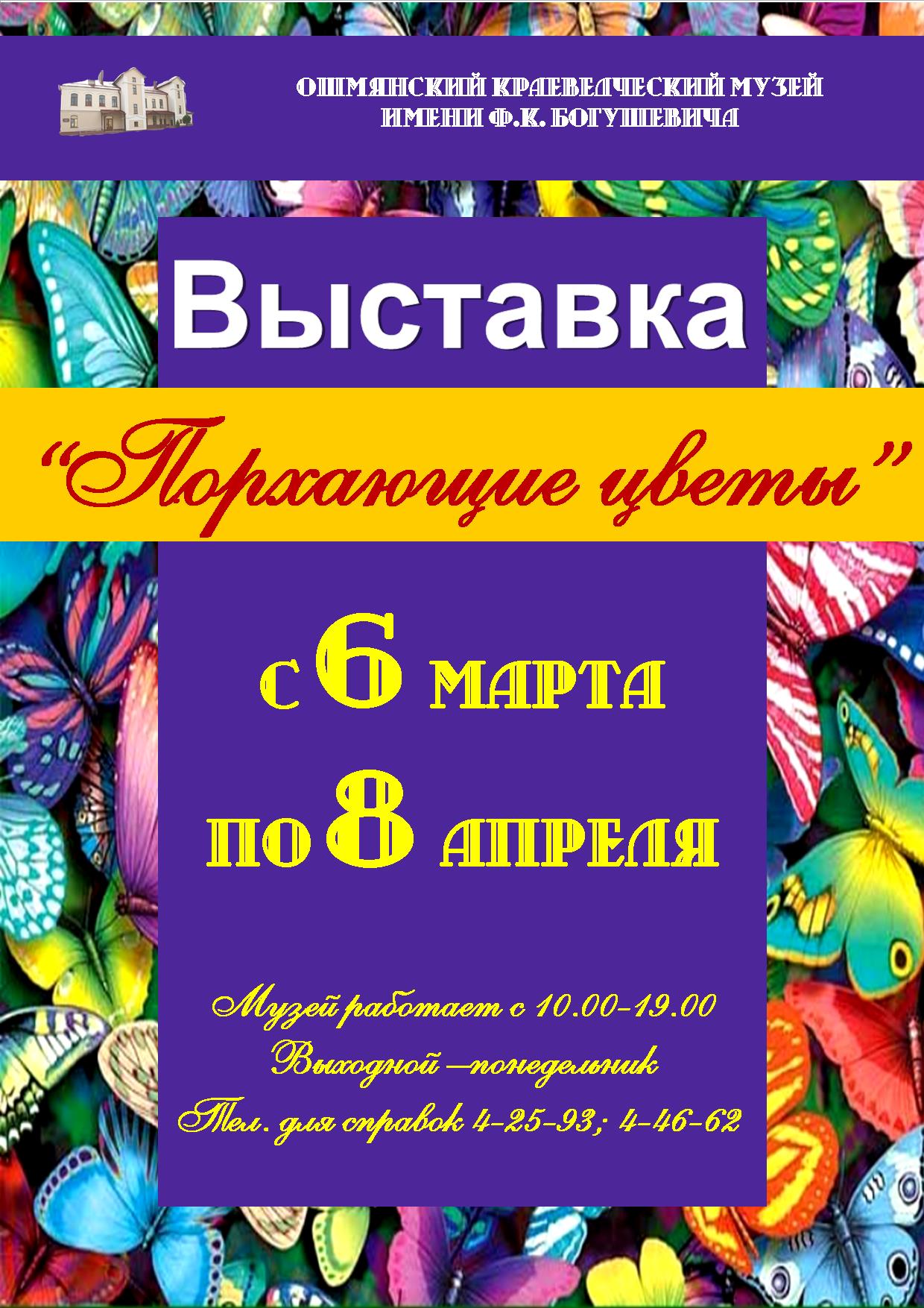 афиша бабочки