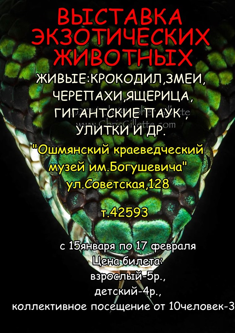 ошмяны